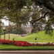 Two large grassy mounds on LSU's campus.